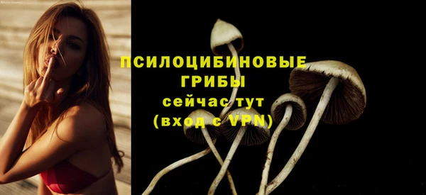 MDMA Premium VHQ Иннополис