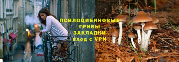герыч Зеленокумск