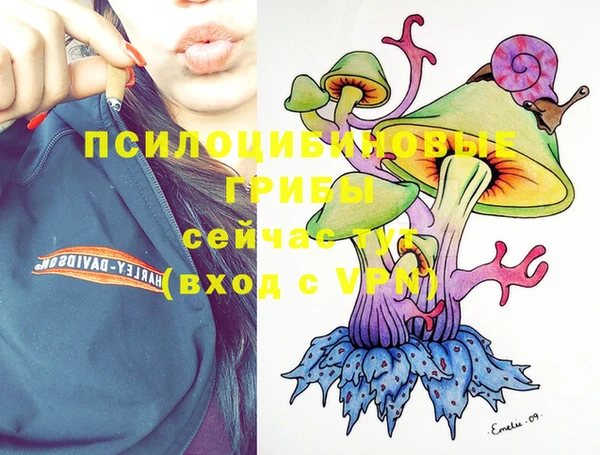 дурь Зерноград