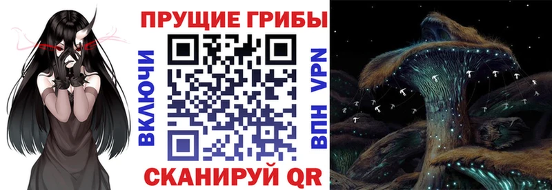 Галлюциногенные грибы Magic Shrooms  Рудня 